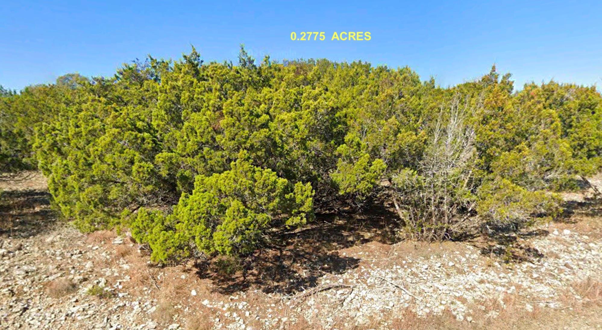 Image 4 Image 4