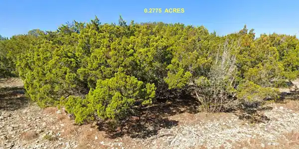 Image 4 Image 4
