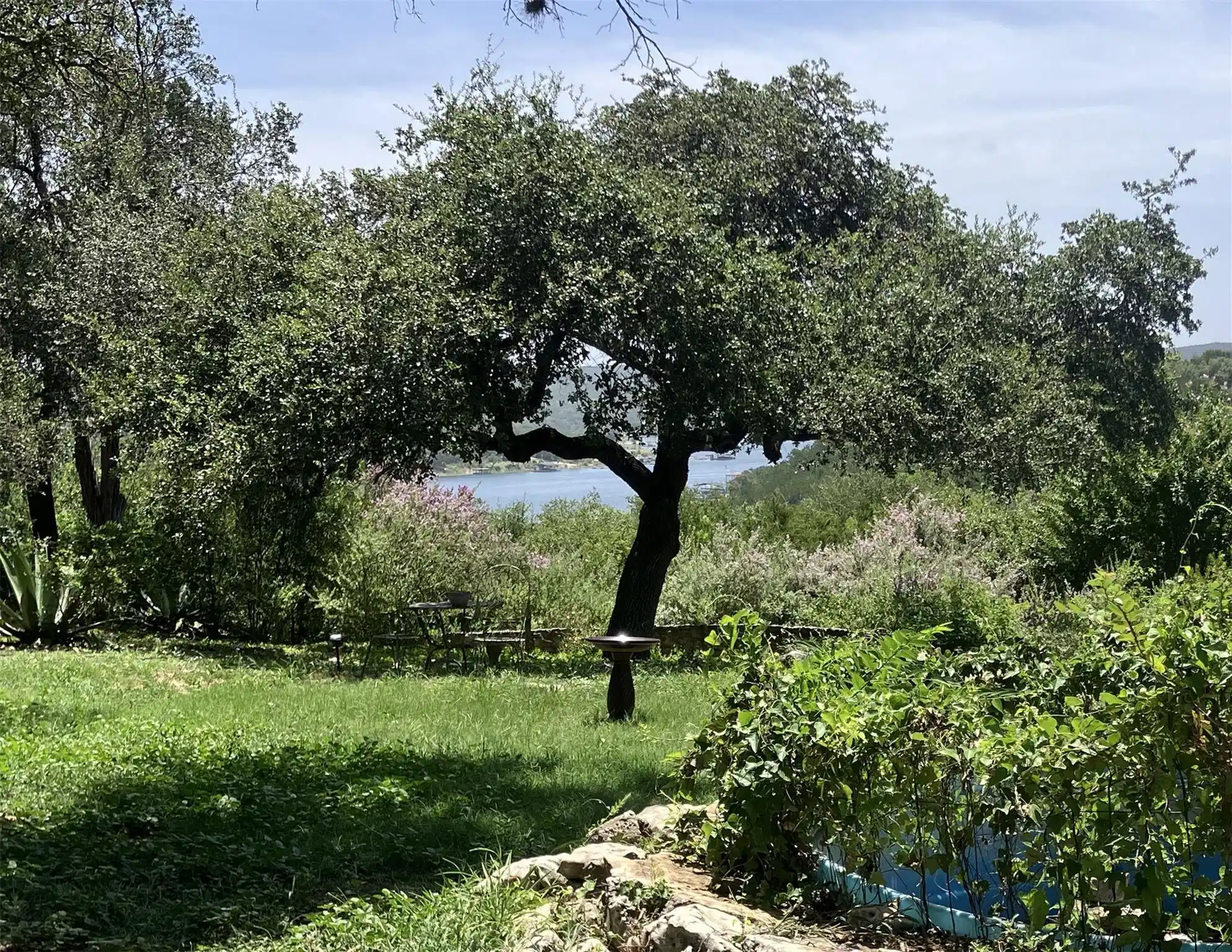Image 1 Image 1