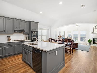 225 Tierra Grande CT