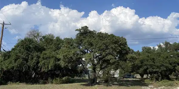 Image 3 Image 3