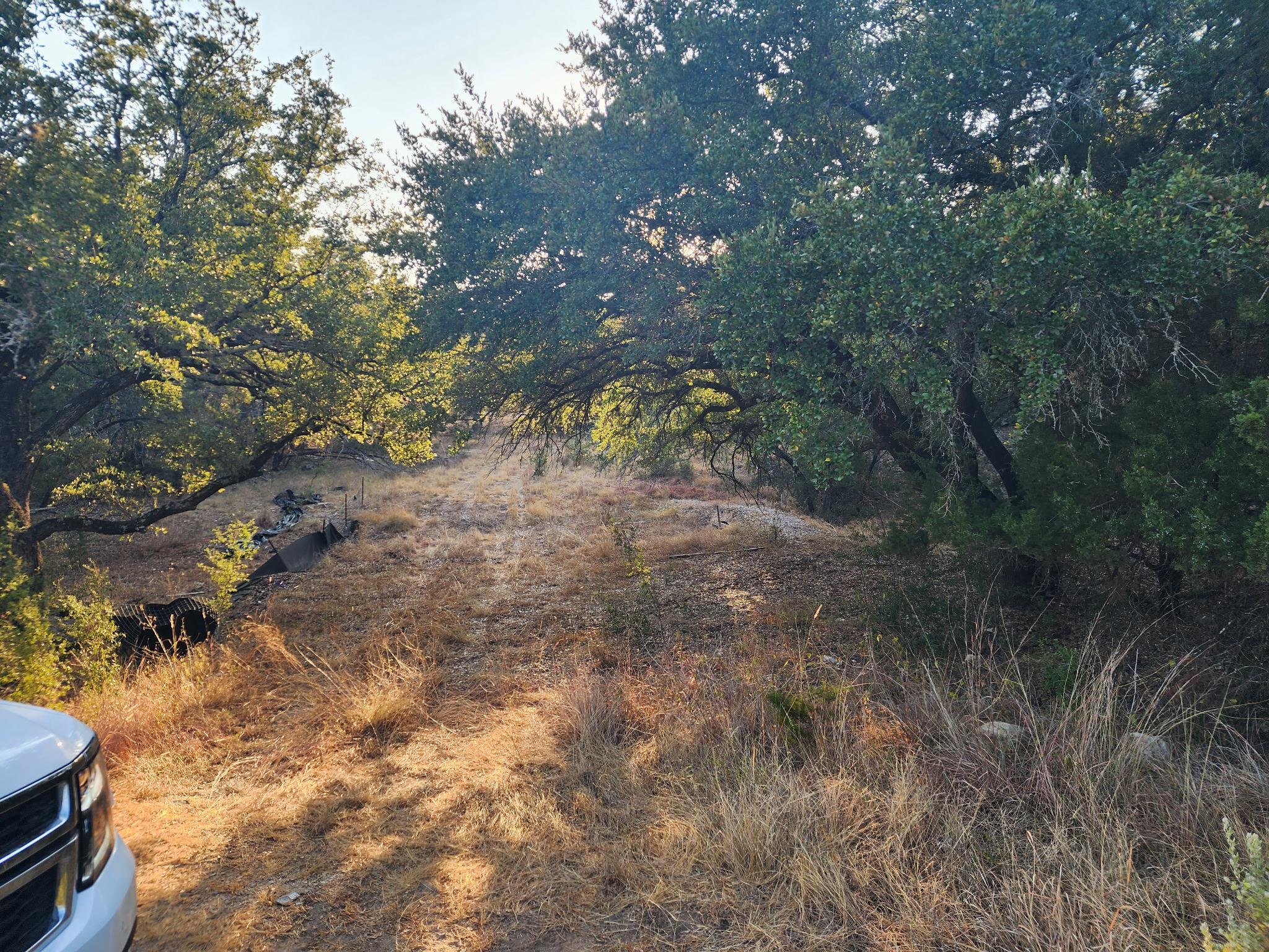 Image 4 Image 4