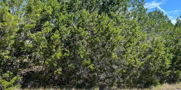 Image 4 Image 4