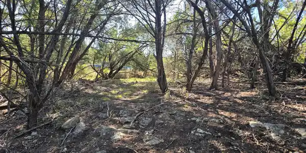 20702 Oak RDG