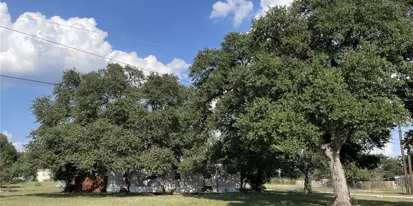 Image 4 Image 4