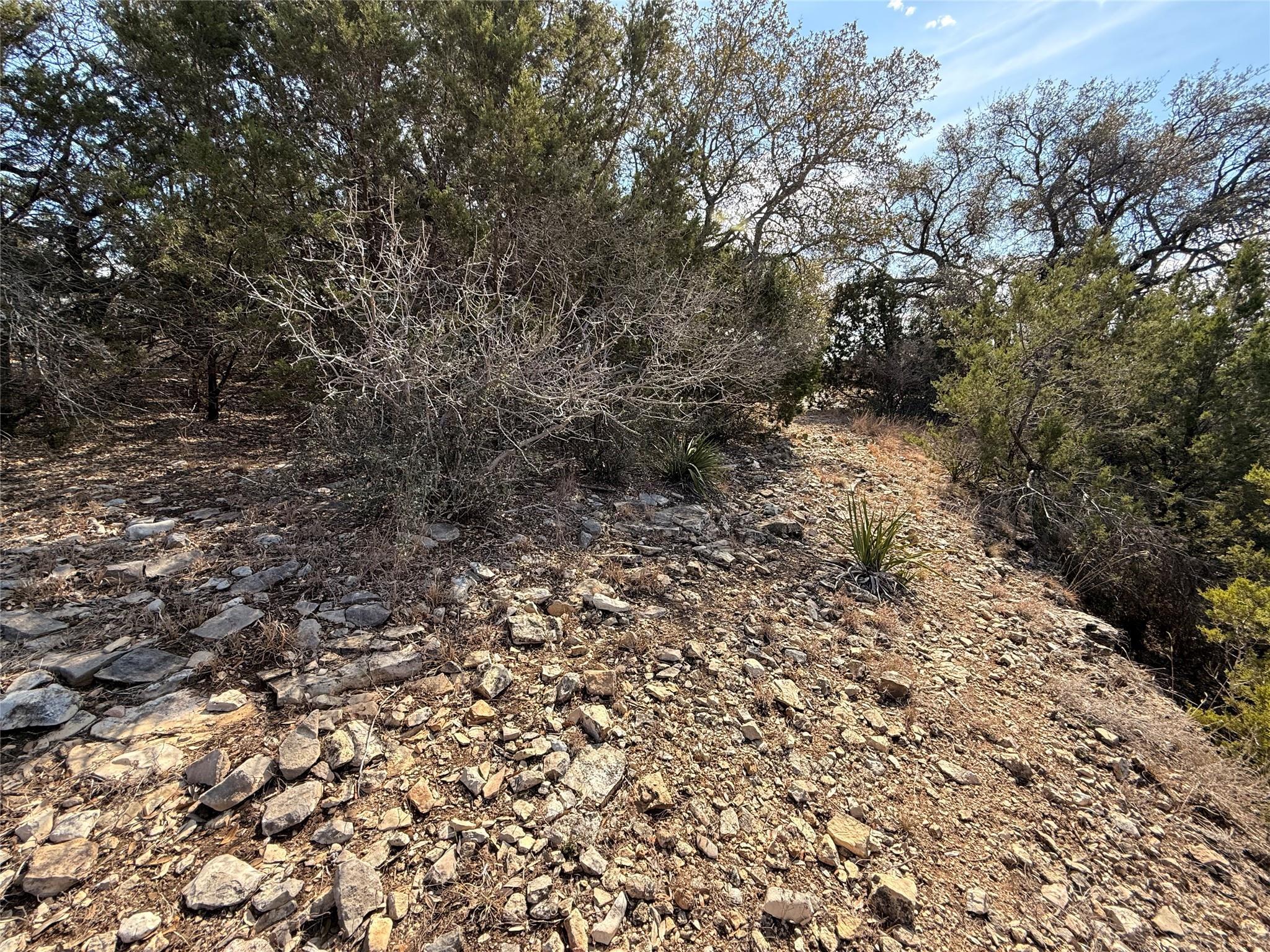 Image 4 Image 4