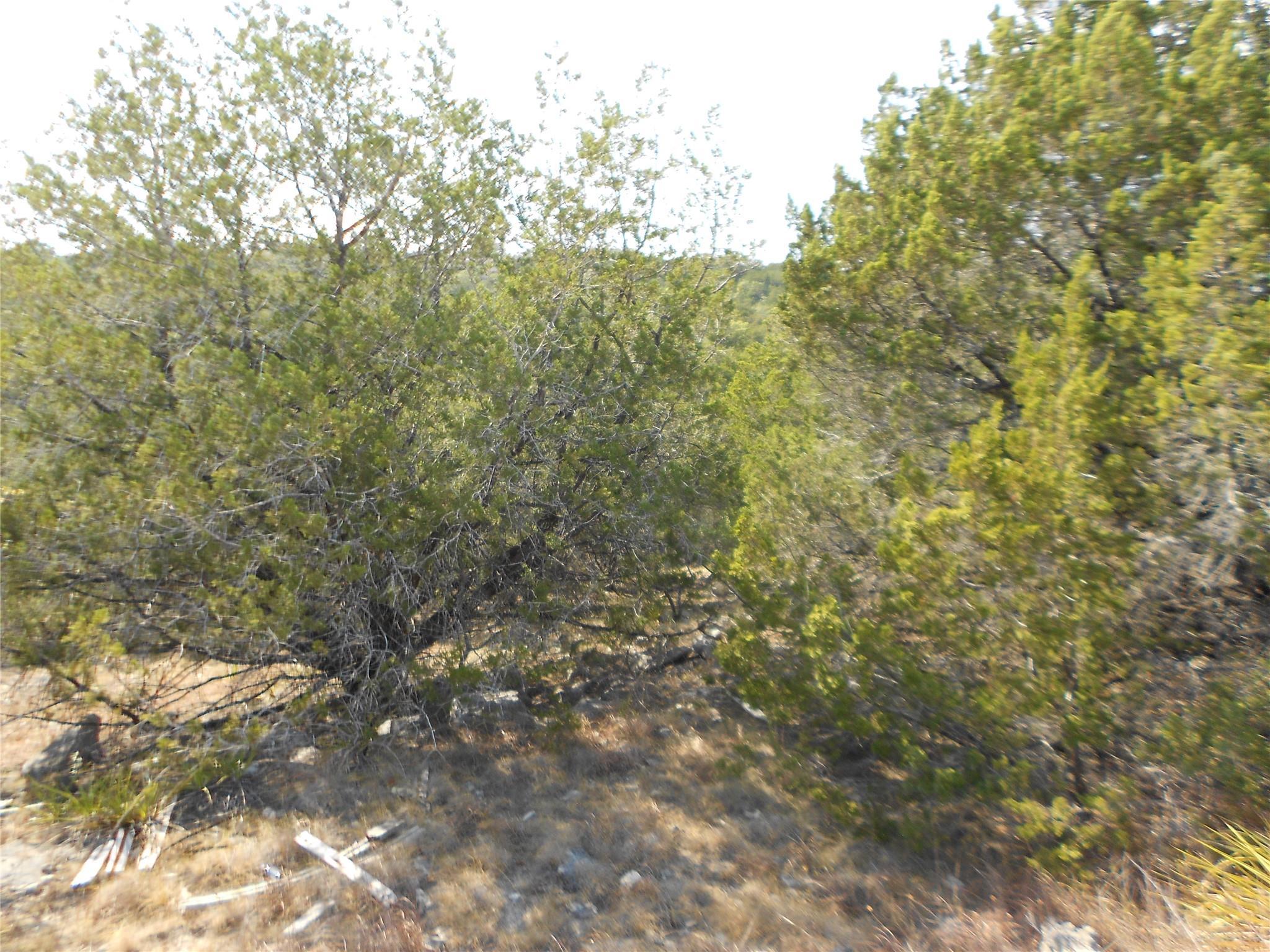 Image 3 Image 3