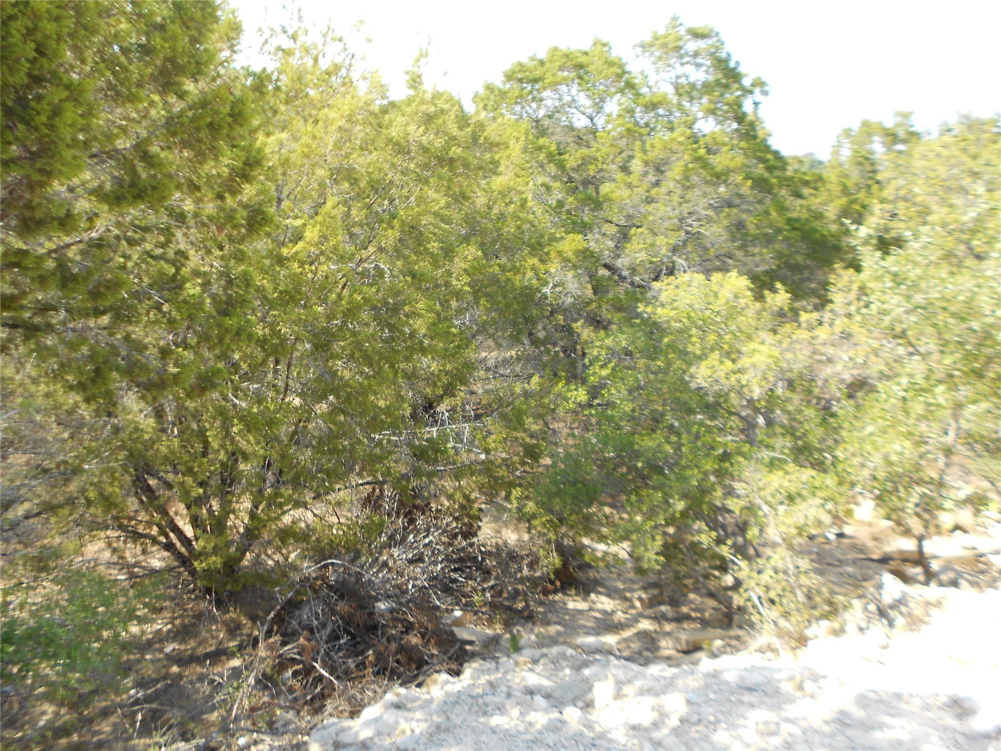 Image 4 Image 4