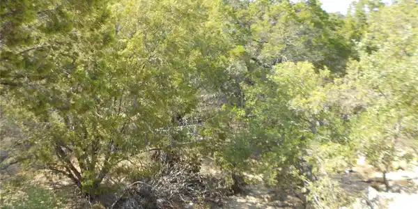 Image 4 Image 4