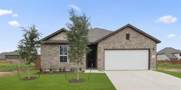 2456 Ambling TRL