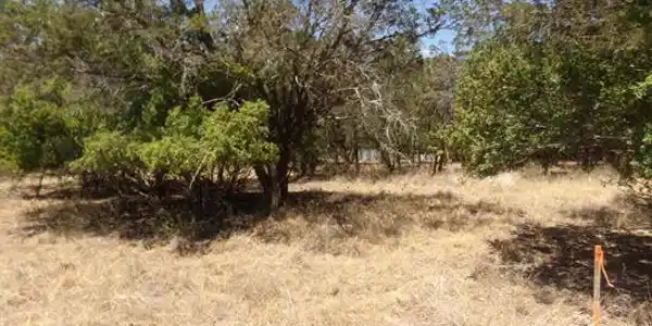 Lot 141 Pine Lane
