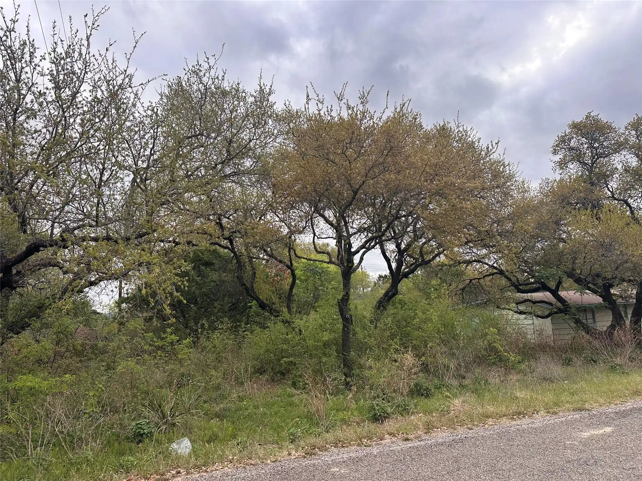 Image 1 Image 1