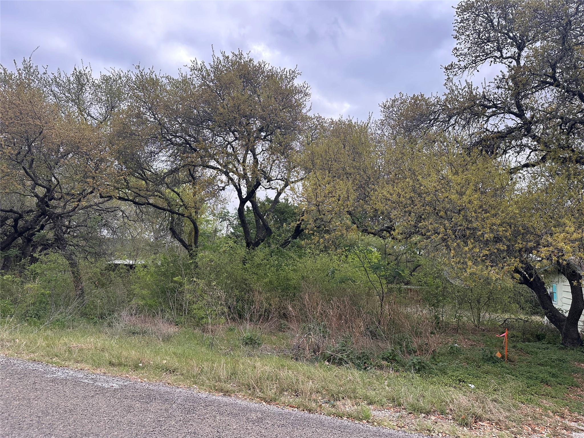 Image 3 Image 3
