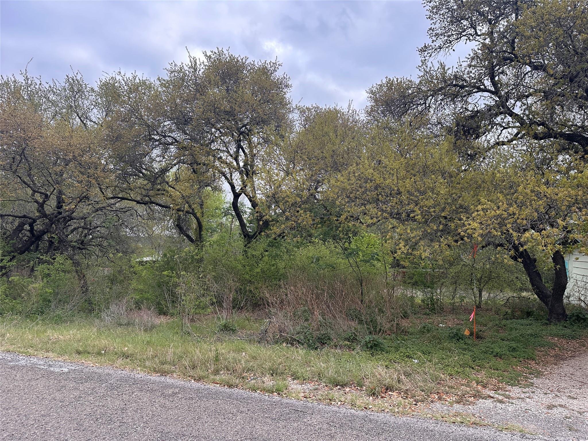 Image 4 Image 4