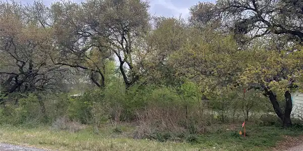 Image 4 Image 4