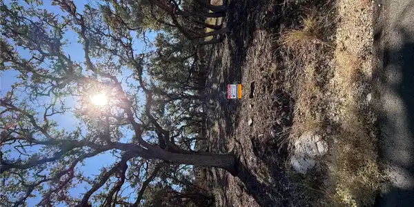 Image 3 Image 3