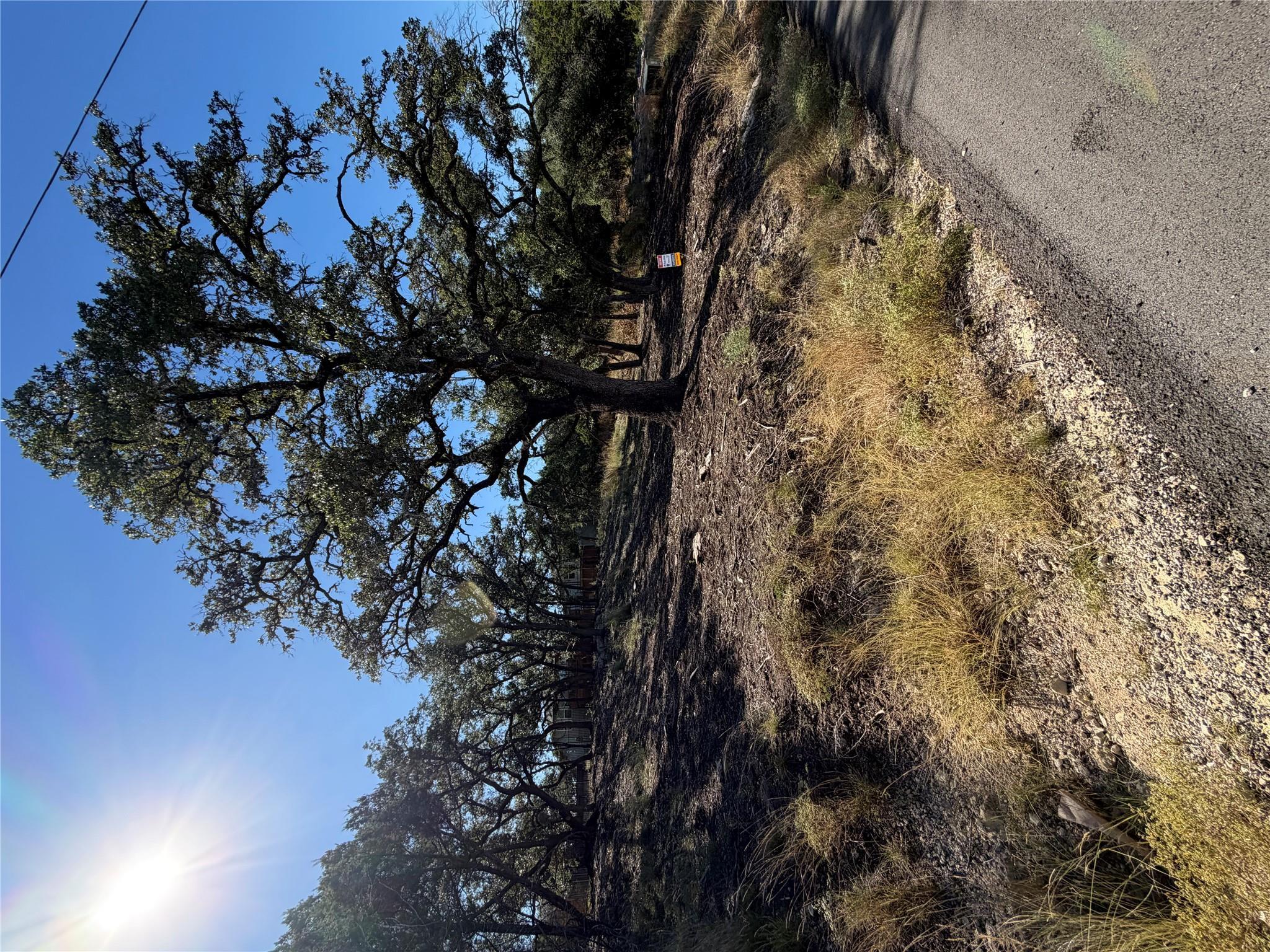 Image 4 Image 4