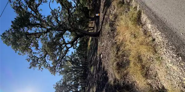 Image 4 Image 4