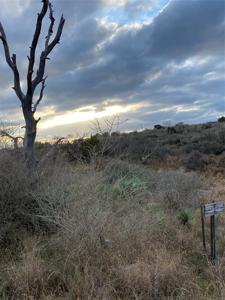 N/A Sandy Harbor DR