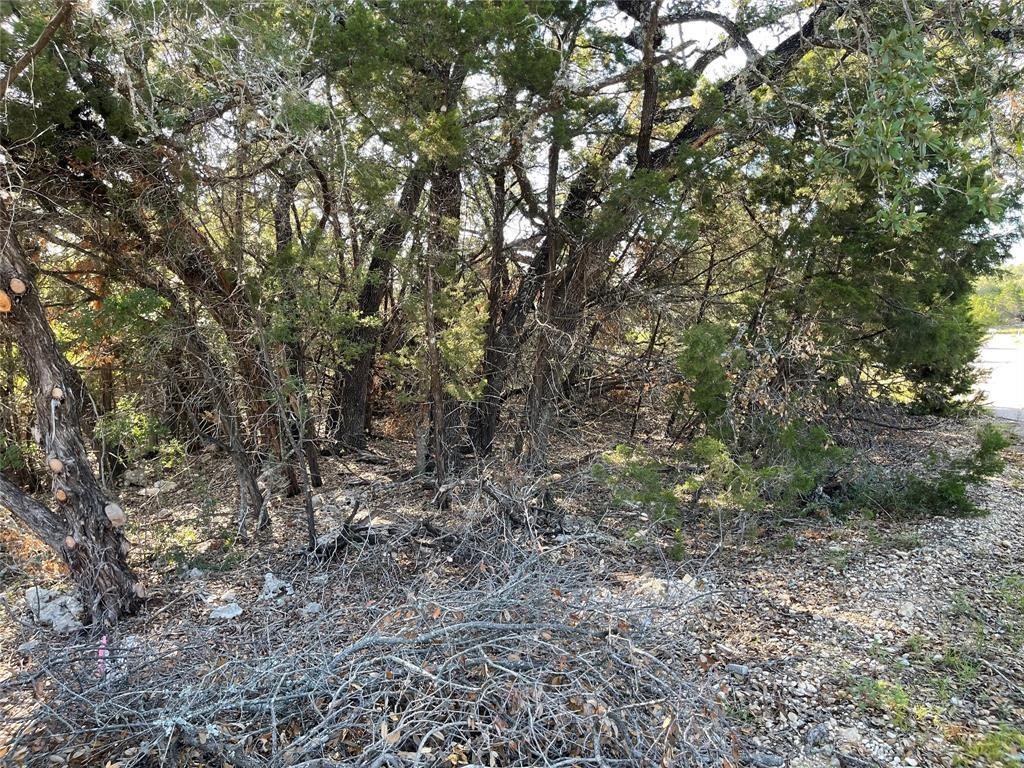 Image 3 Image 3