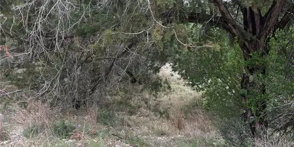 Image 3 Image 3