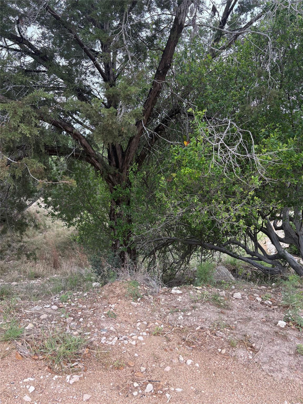 Image 4 Image 4