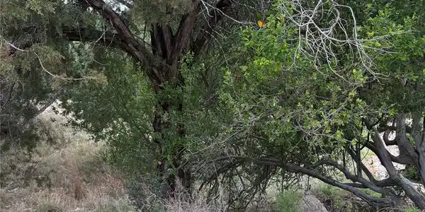 Image 4 Image 4