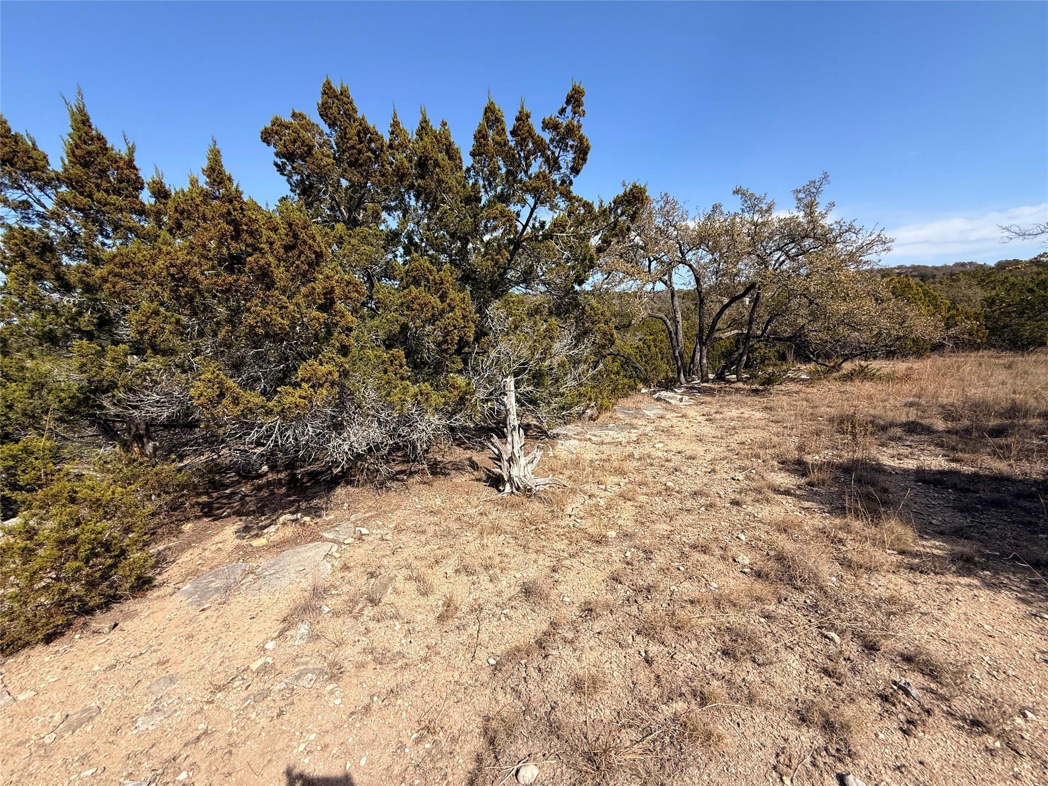 Image 4 Image 4