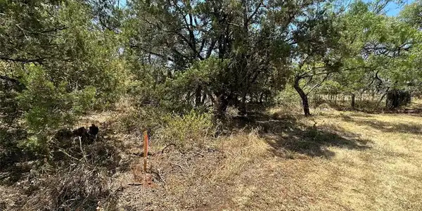 TBD Forest DR