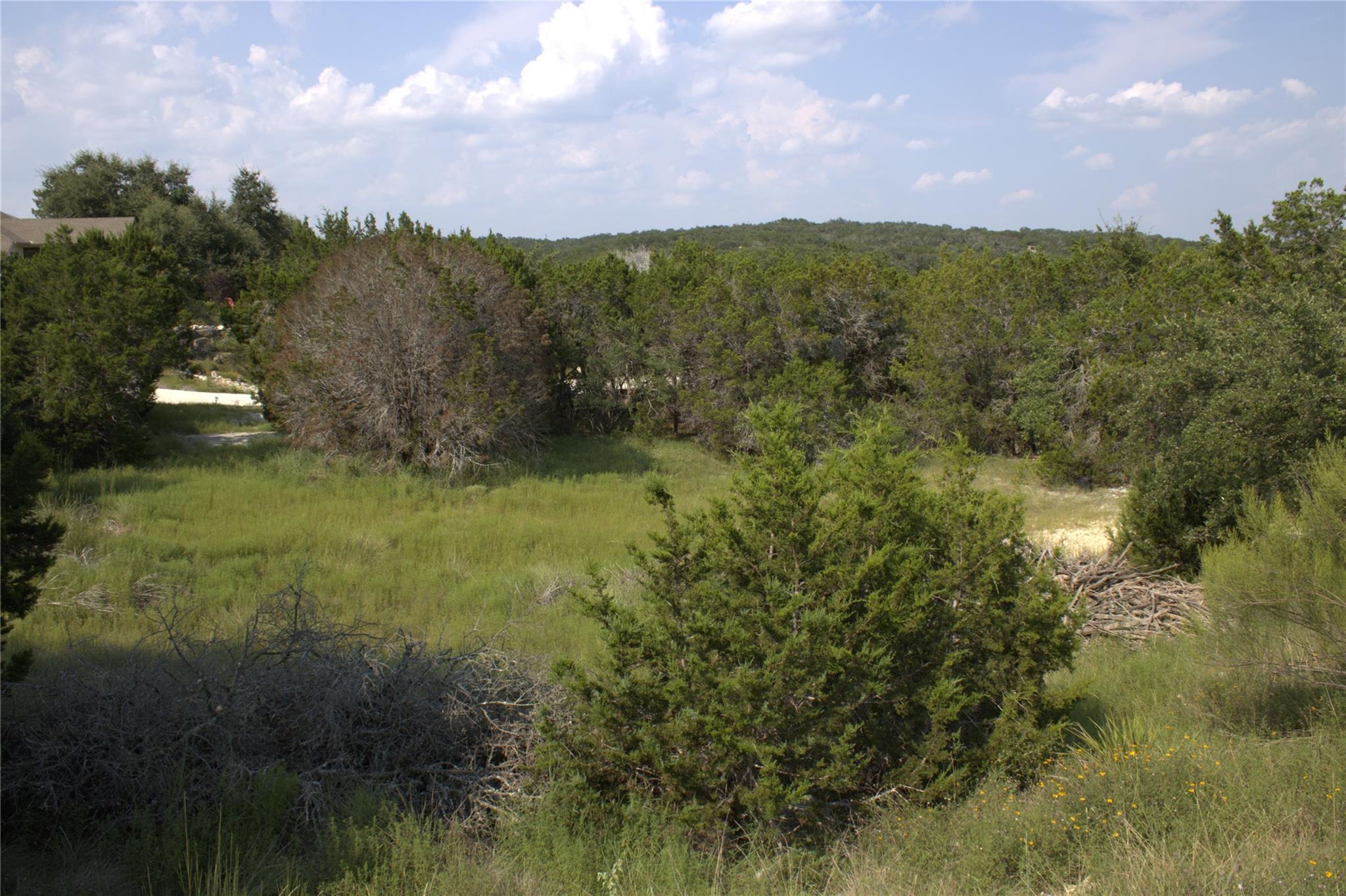 Image 4 Image 4