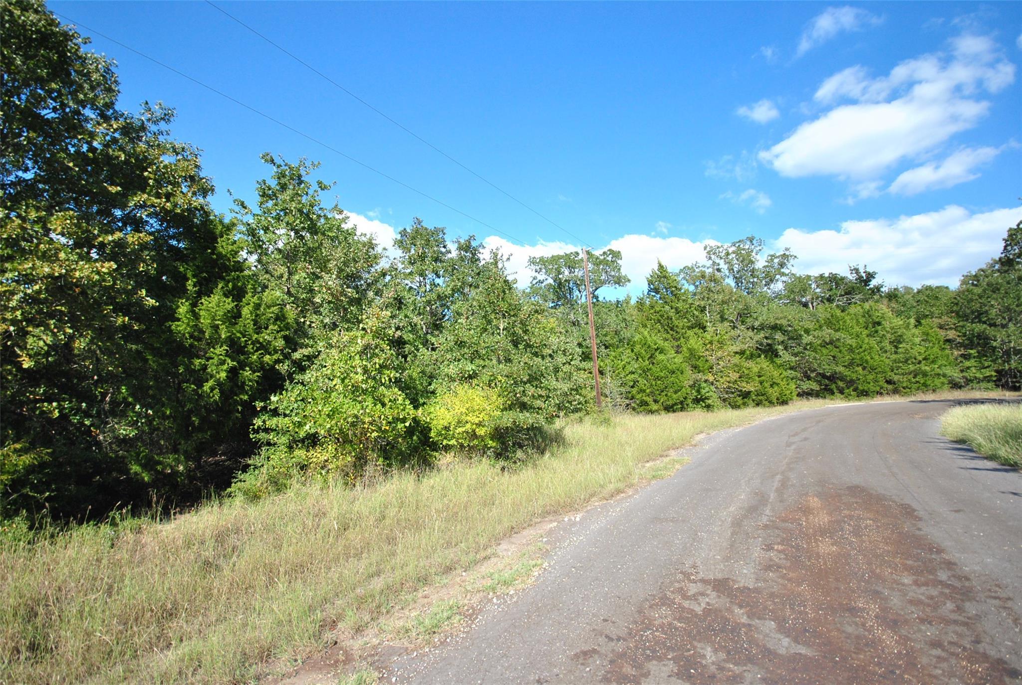 Image 4 Image 4