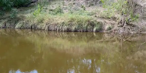 Image 4 Image 4