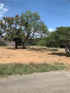 000 Bluebonnet STS