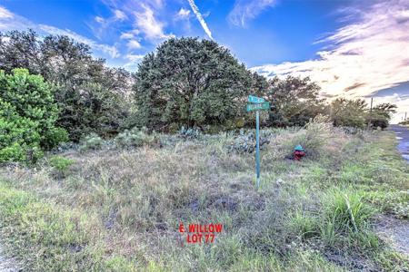 Lot 77 E Willow DR