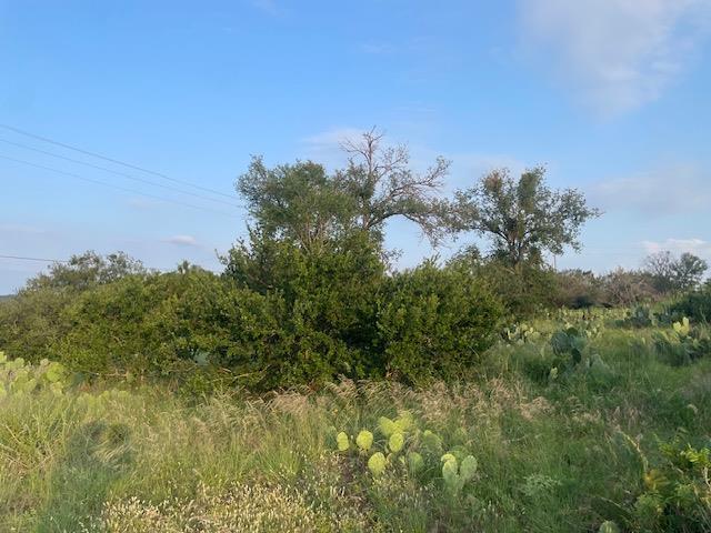 Image 4 Image 4