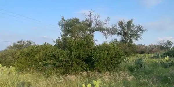 Image 4 Image 4