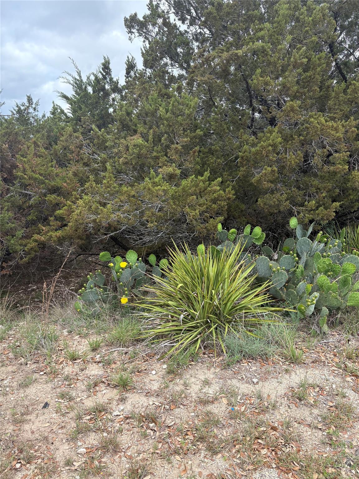 Image 3 Image 3