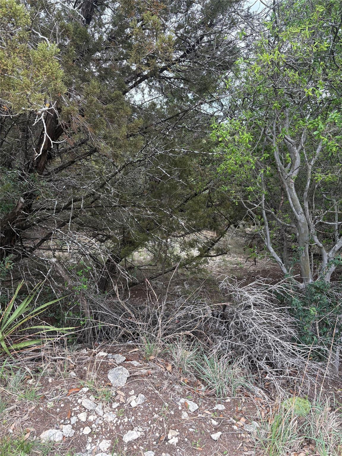 Image 4 Image 4