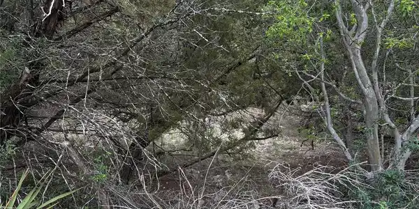 Image 4 Image 4
