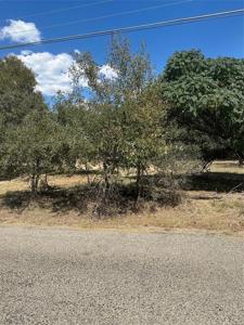 TBD E Castlewood DR