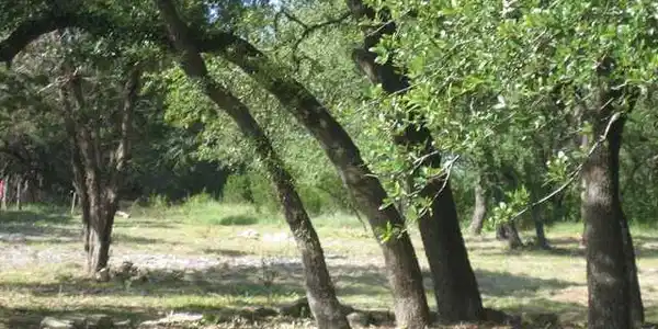 Image 3 Image 3