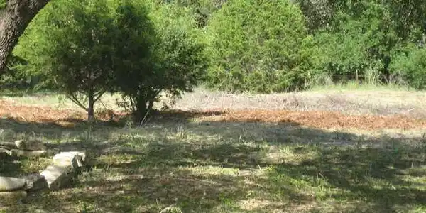 Image 4 Image 4