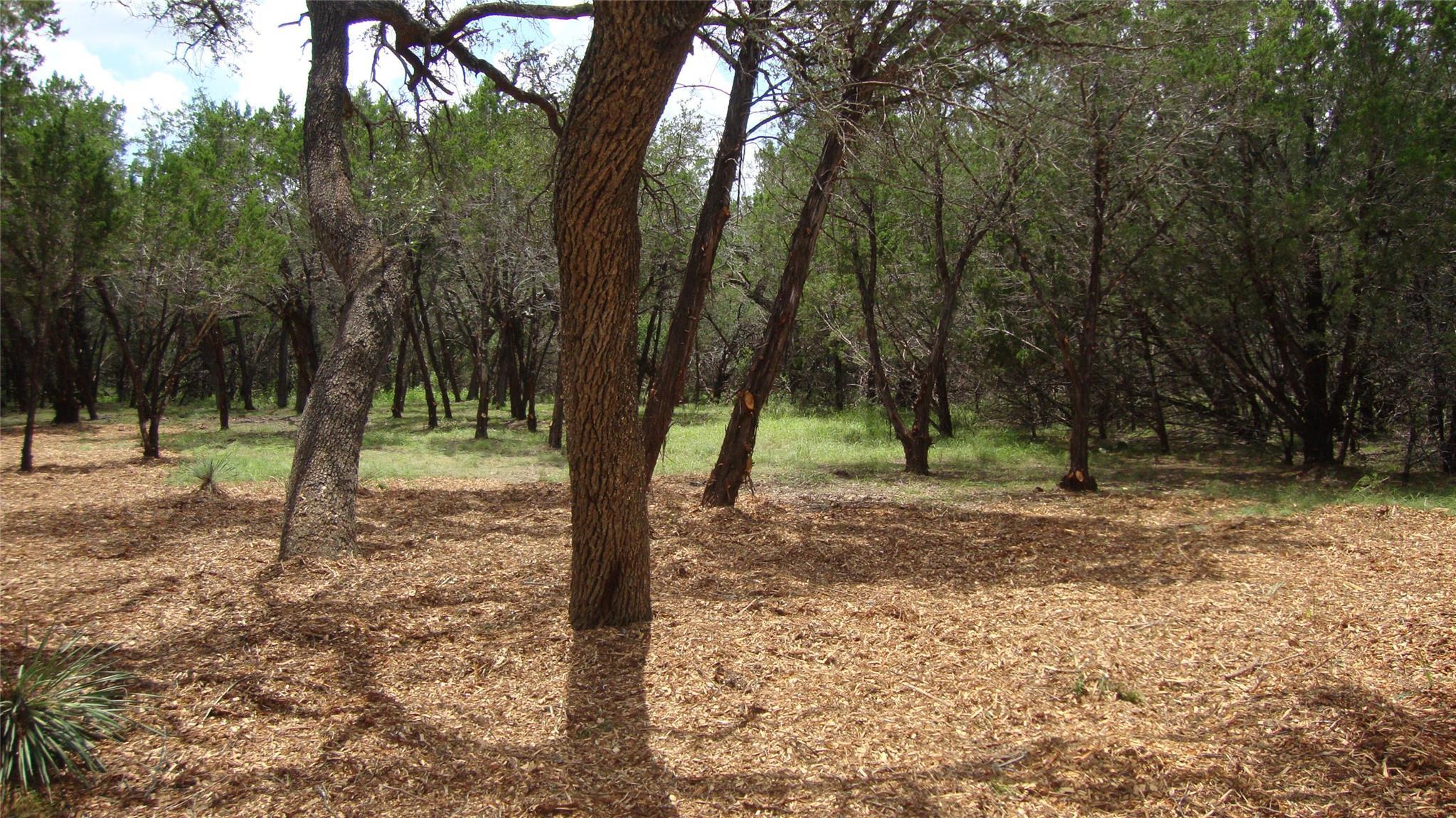 Image 4 Image 4