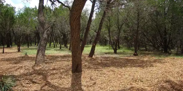 Image 4 Image 4