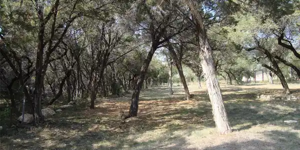 Image 2 Image 2