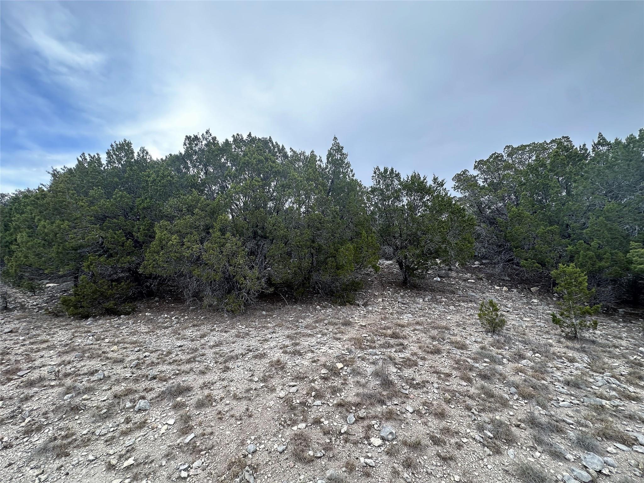 Image 3 Image 3