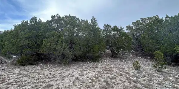 Image 3 Image 3