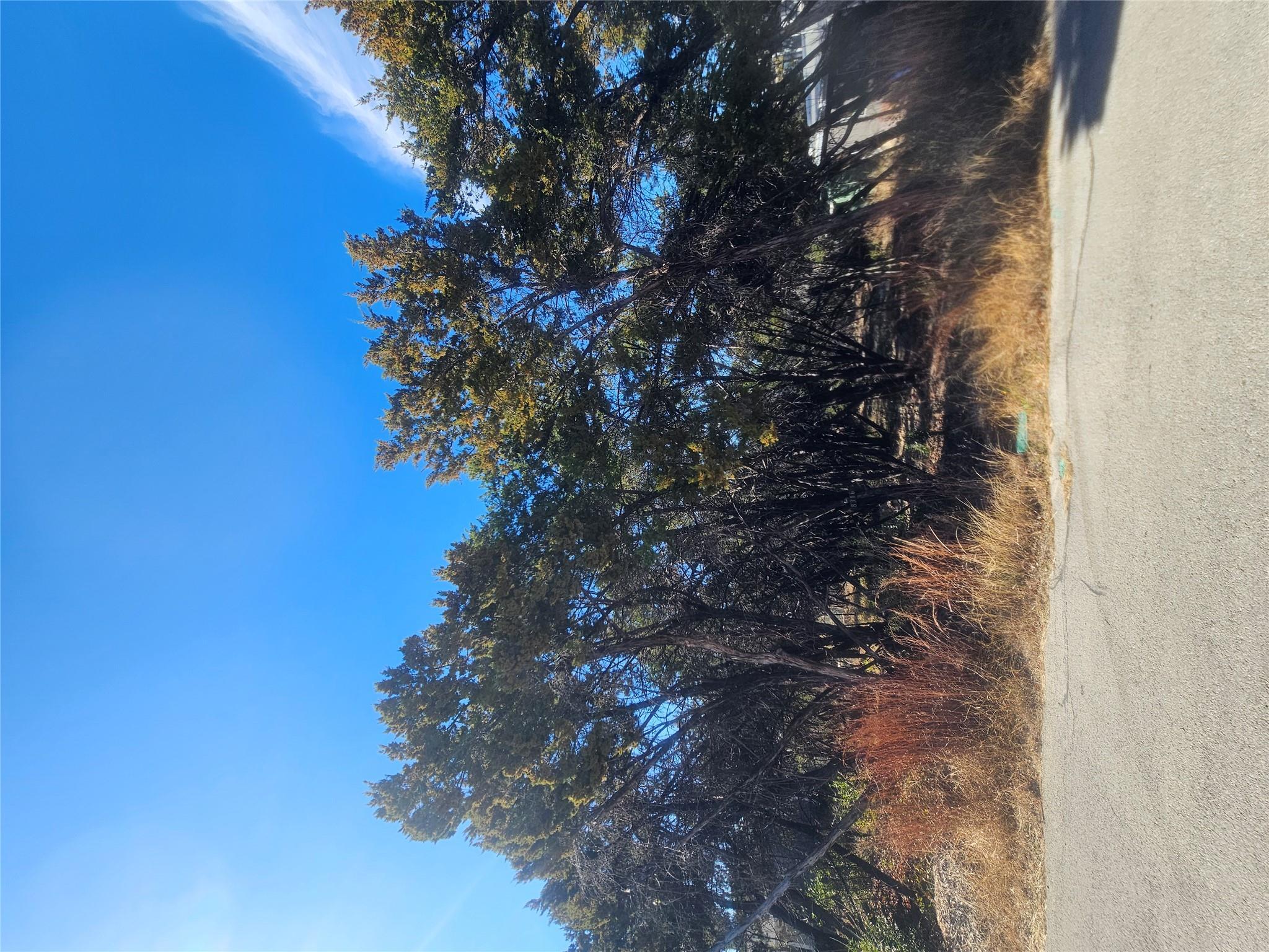 Image 4 Image 4