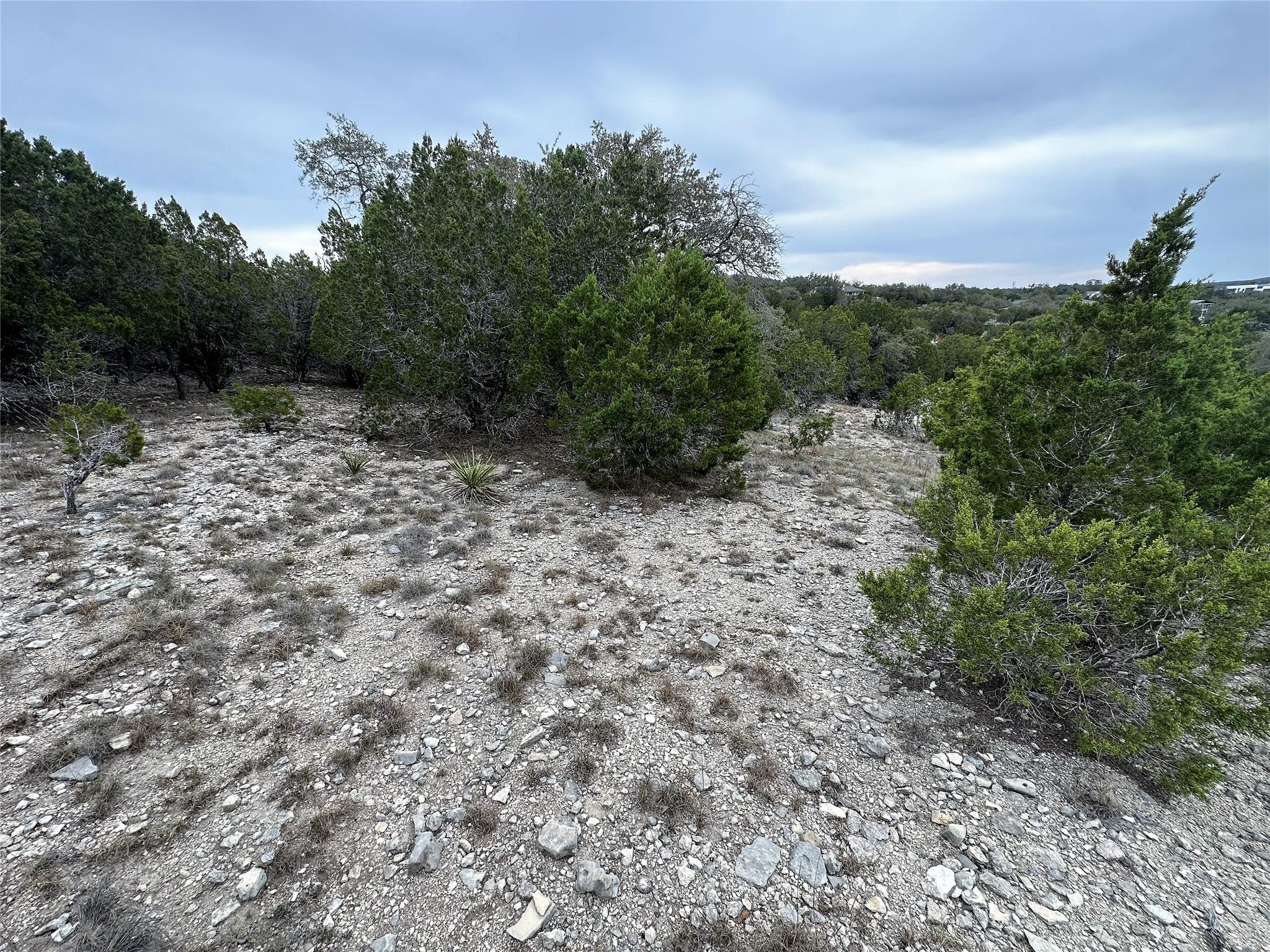 Image 4 Image 4