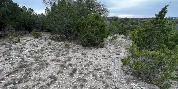Image 4 Image 4